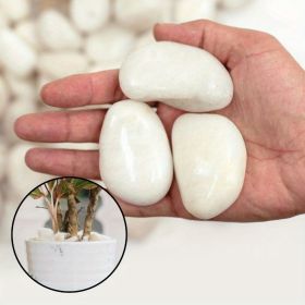 38 lbs River Rocks, 2-3 inch Polished Pebbles - Decorative White Stones for Indoor/Outdoor Use, Perfect for Plants, Vase Fillers, Aquariums (Colour: white1)