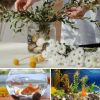 38 lbs River Rocks, 2-3 inch Polished Pebbles - Decorative White Stones for Indoor/Outdoor Use, Perfect for Plants, Vase Fillers, Aquariums